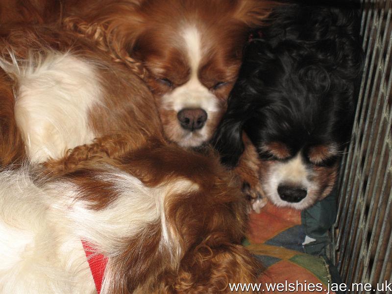 2009-12-18 20.JPG - All together!